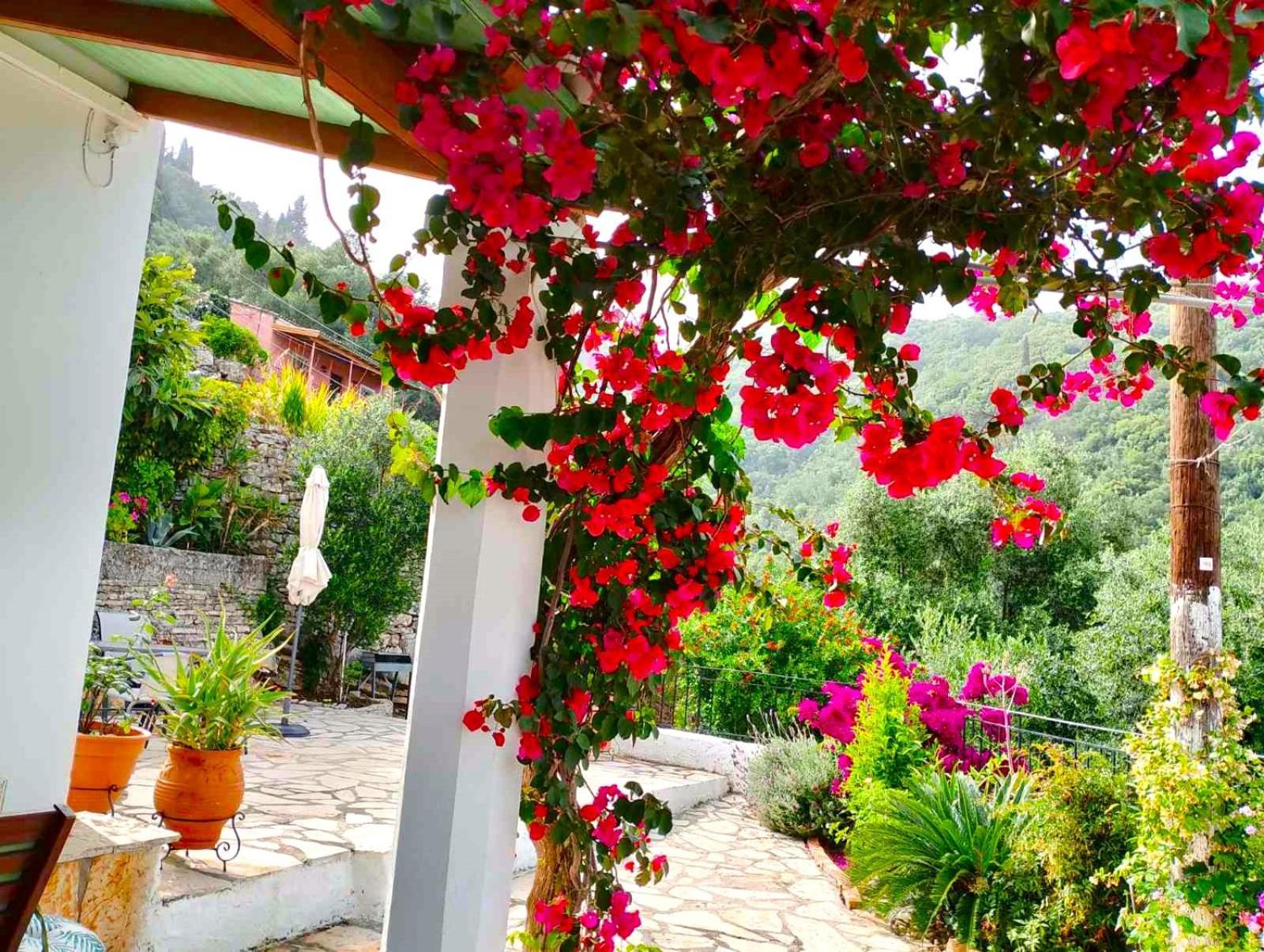 Villa Fior Di Corfu Kalámi Exterior foto